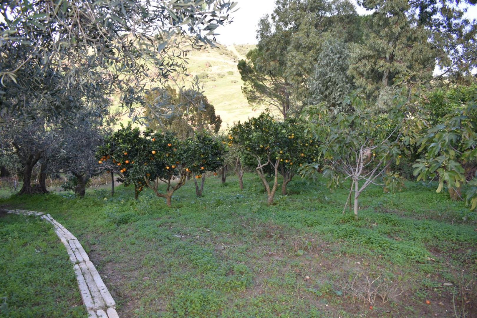 Apartmán La Casetta Nel Bosco Calatafimi Exteriér fotografie