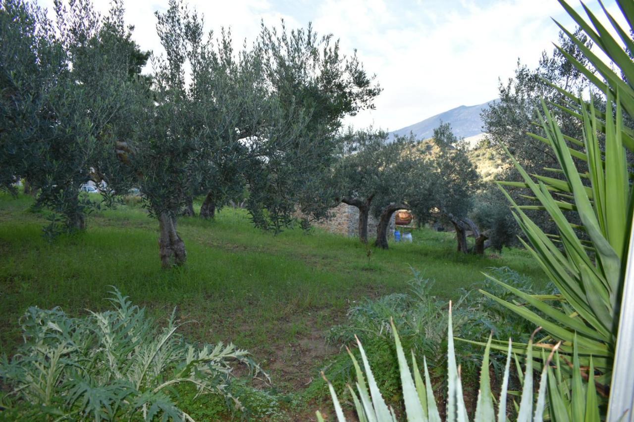 Apartmán La Casetta Nel Bosco Calatafimi Exteriér fotografie